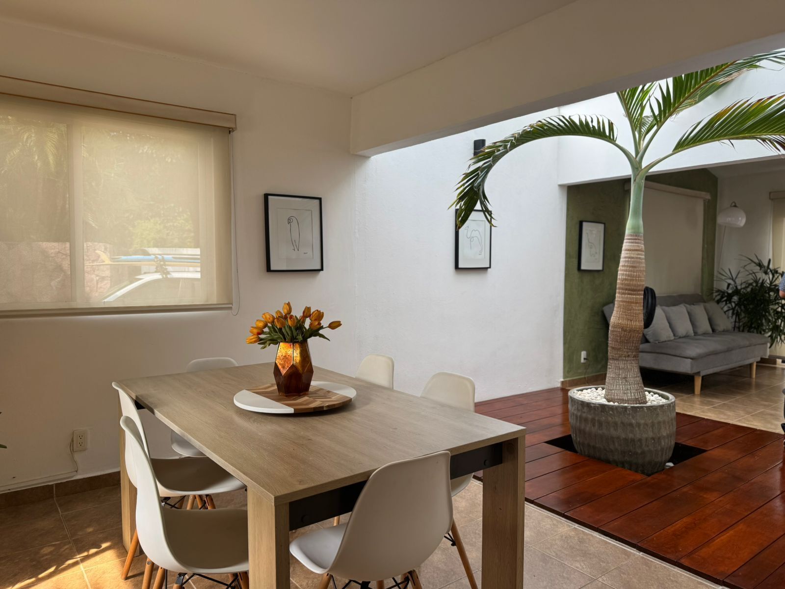 Un comedor moderno con una mesa de madera, sillas blancas, un jarrón de flores y una palmera en maceta.