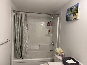 Hair dryer, towels, soap, toilet paper