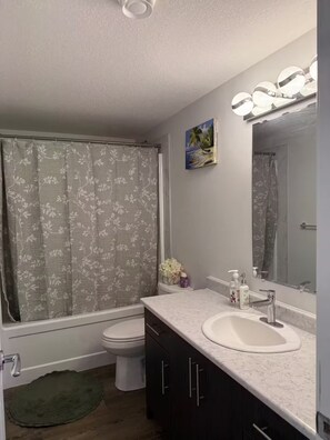 Hair dryer, towels, soap, toilet paper