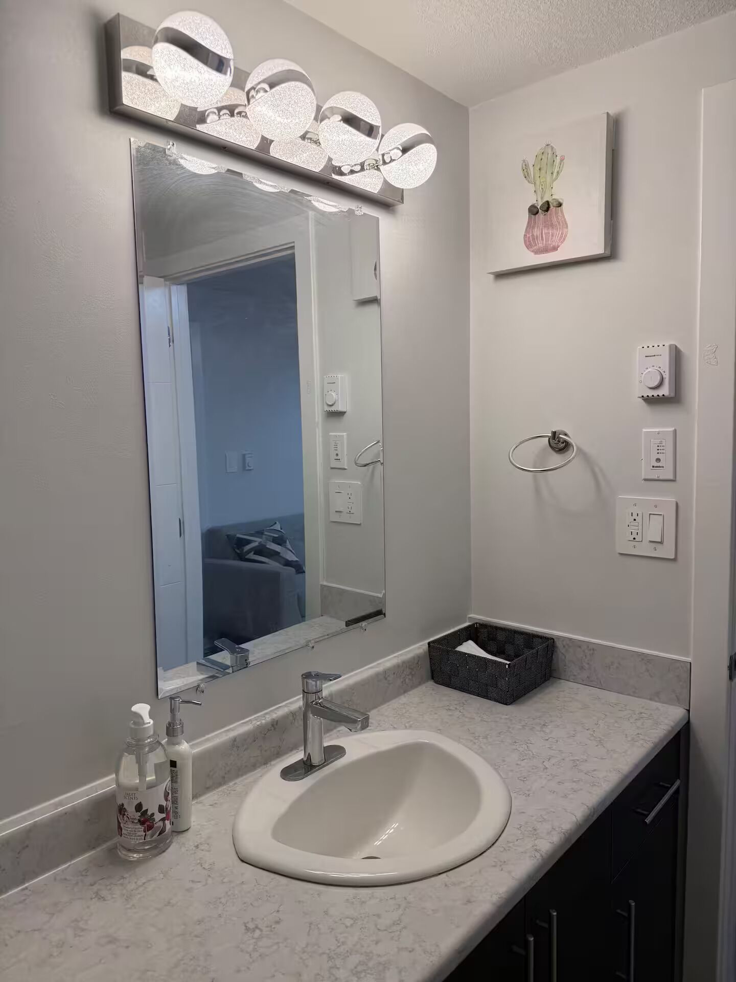 Une salle de bain avec un grand miroir, un meuble-lavabo, un évier et un cactus en pot accroché au mur.