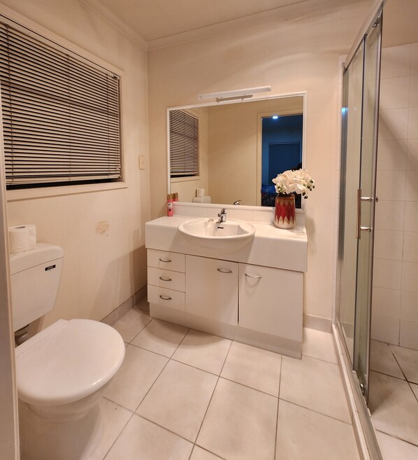 Hair dryer, towels, soap, shampoo