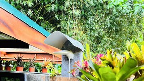 A stone wall with a water feature and potted plants. - Hummingbird jungle (La Fortuna)