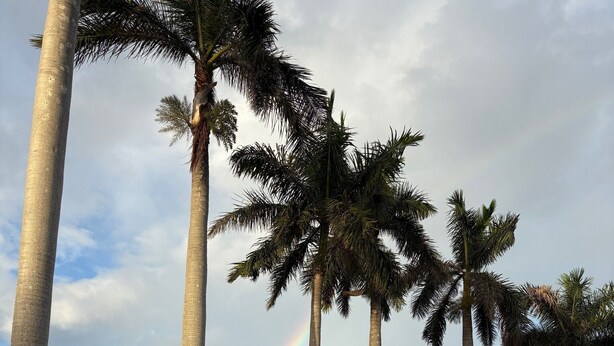 A poolside area with lounge chairs, palm trees, and a rainbow in the background. - A little slice of paradise in St Pete Beach (St. Petersburg)
