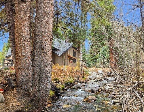 The Velvet Moose • Minutes to Breck • Cozy, Upgraded Breck Mountain Retreat