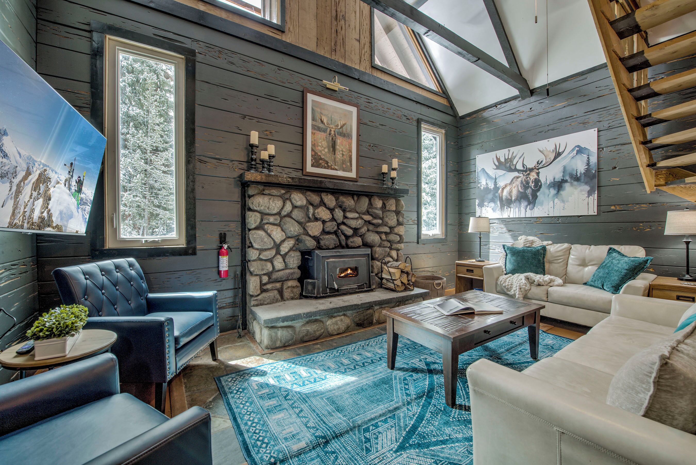 Smart TV, fireplace, books