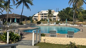 Un área de piscina con sillones de descanso y palmeras.