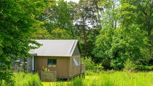 Une petite cabane à un seul étage, dotée d’un toit en pente, entourée d’herbes hautes et d’arbres denses.