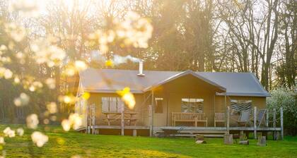Dog friendly glamping stay in Suffolk, Lantern and Larks
