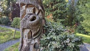 Un arbre sur lequel est sculptée une maison et auquel est fixée une nichoir.