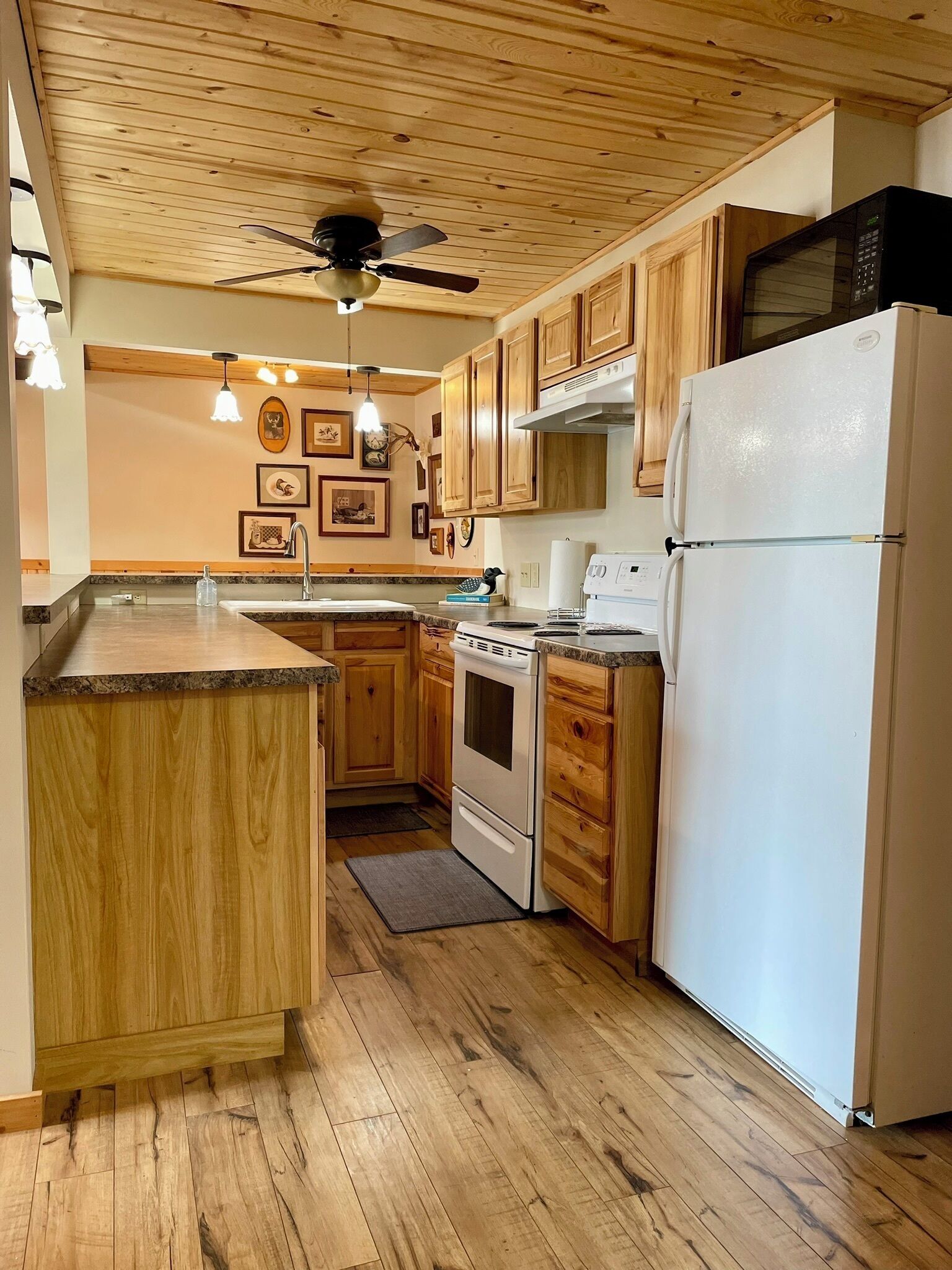 冷蔵庫、電子レンジ、オーブン、コンロ