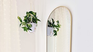 Un miroir avec un cadre doré et un support à plantes suspendu en macramé, orné de plantes vertes.