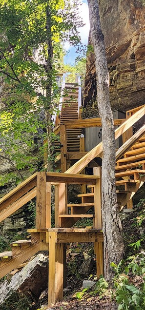 Property grounds - Cliffside Cabin at Piney Falls - with Creek Access (Zion)