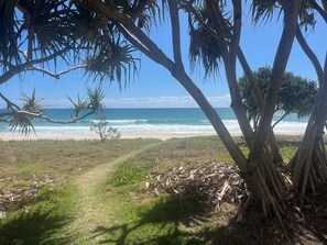 A beach view with palm trees and a clear sky. - Little Drummer-A Mid Century Currumbin retreat! (Currumbin Waters)