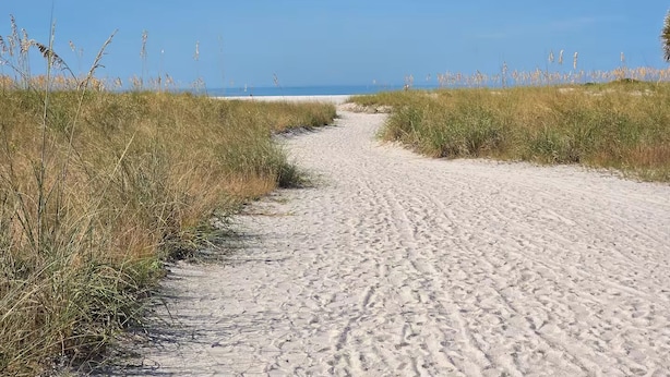 En sandstig som leder till en strand, med högt gräs på båda sidor.