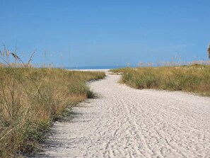 Een zandpad dat naar een strand leidt, met hoge grasvelden aan weerszijden.
