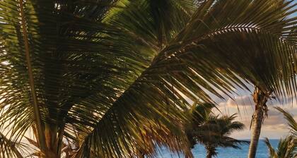 Peña Linda Bungalows