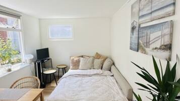 1 slaapkamer, internet