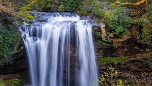 A waterfall cascading over a rocky cliff surrounded by lush greenery.