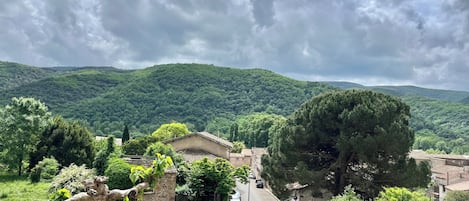 A hillside view with a stone building, a road, and a large tree.