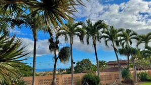 A well-maintained garden with palm trees, a hammock, and a patterned wall.