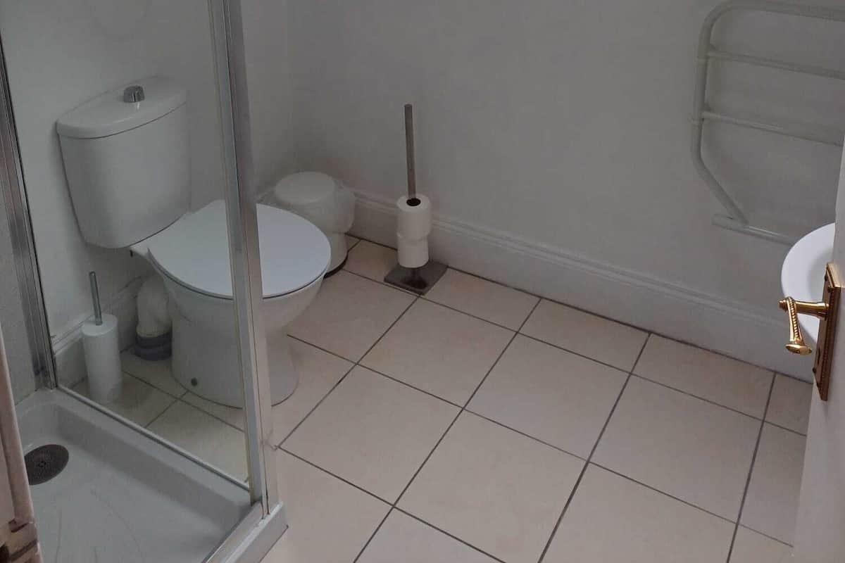 A small, modern bathroom with a skylight, a shower, and a toilet.