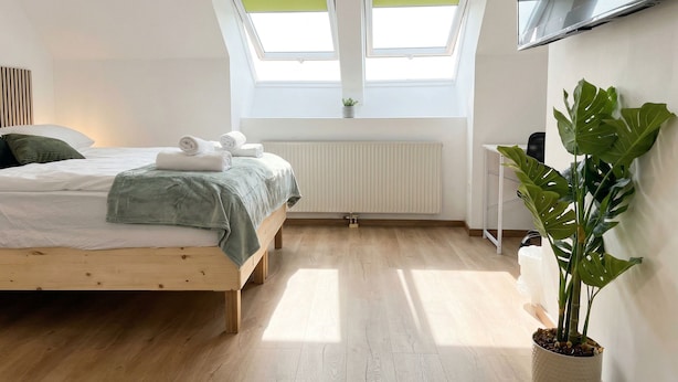 A bedroom with a bed, skylights, a radiator, a plant, and a TV on the wall. - Lovely 3BR Apt With Balcony Rennweg (Vienna)