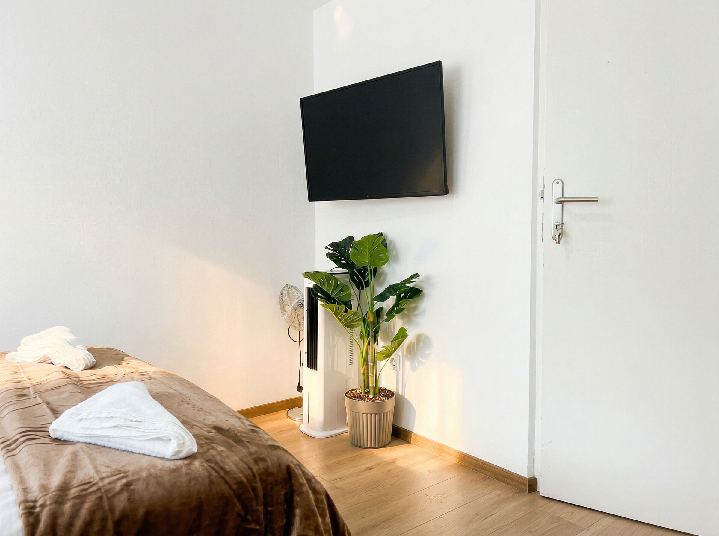 A bedroom with a bed, a wall-mounted TV, a potted plant, and a door.