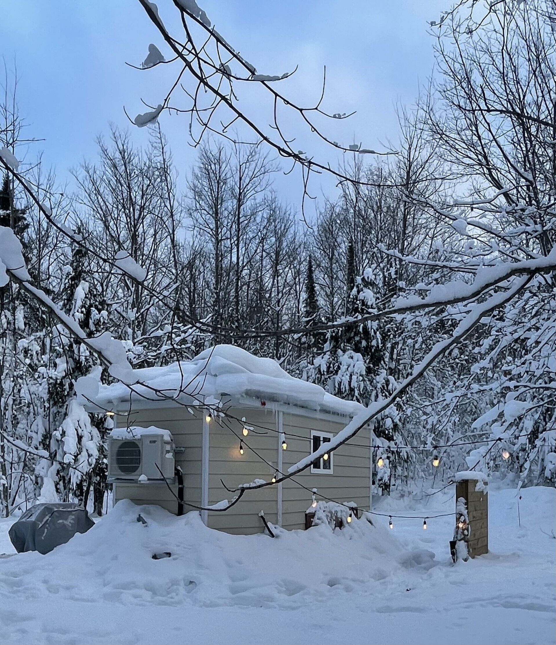 Àrea exterior de l'allotjament