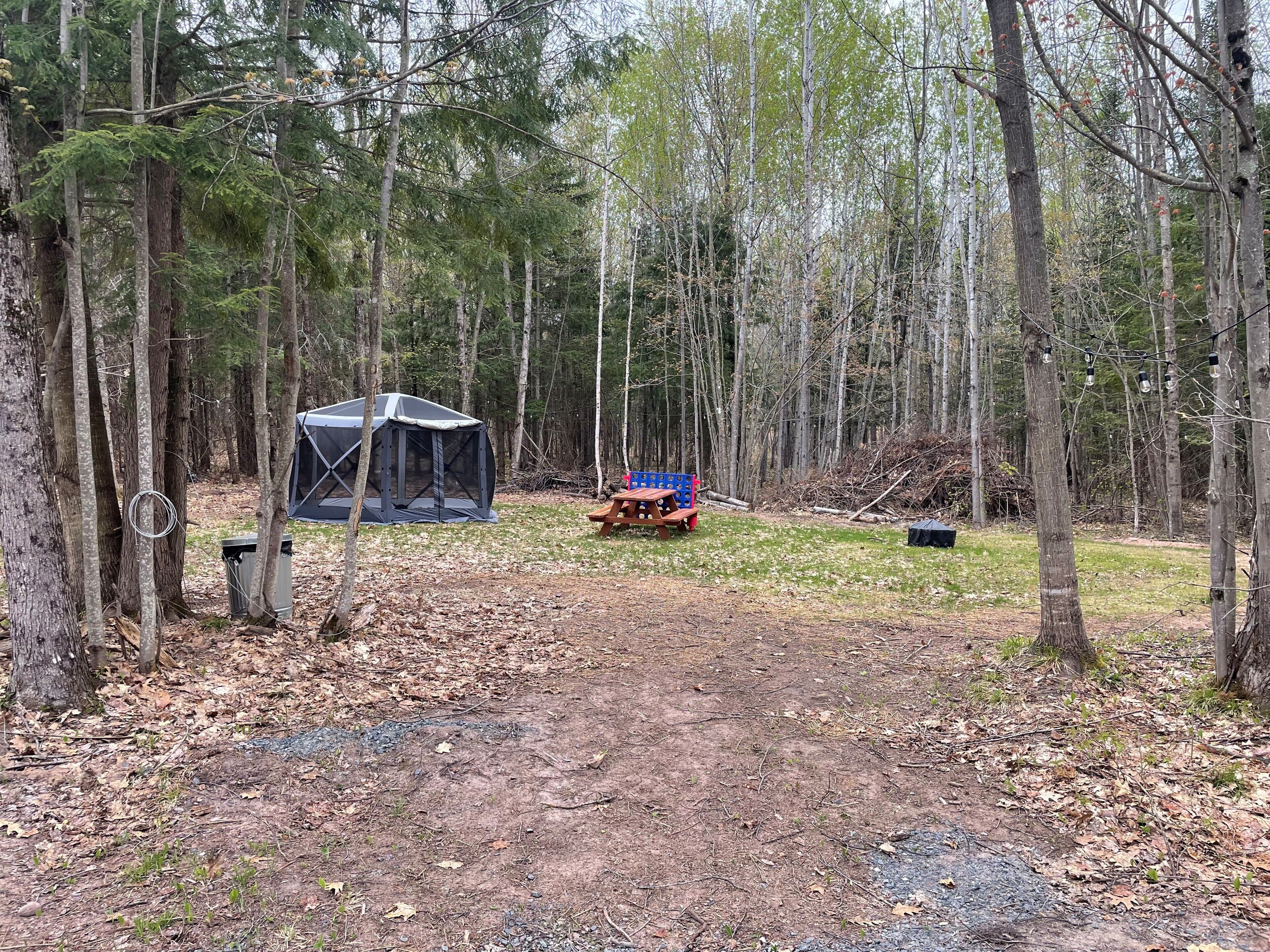 Een tent in een bos, een picknicktafel en een kleine open plek.