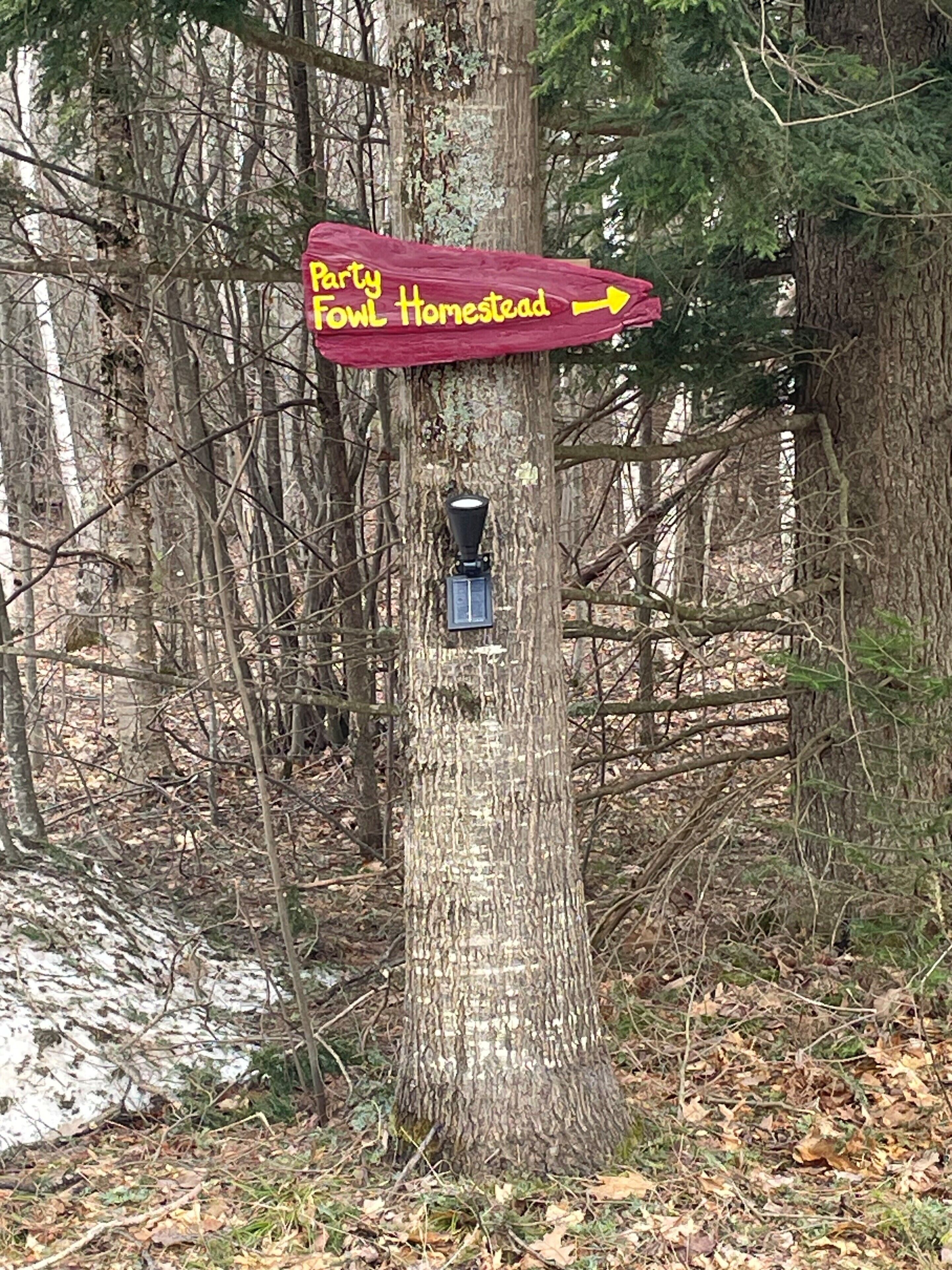 Et rødt skilte med gul skrift monteret på et træ i et skovområde.