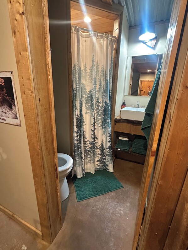 Ein schmales Badezimmer mit Toilette, einem grünen Teppich und einem Duschvorhang mit Waldmuster.