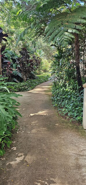 Property grounds - Riverfront condo across from ocean. Sleeps 6 (Koloa)