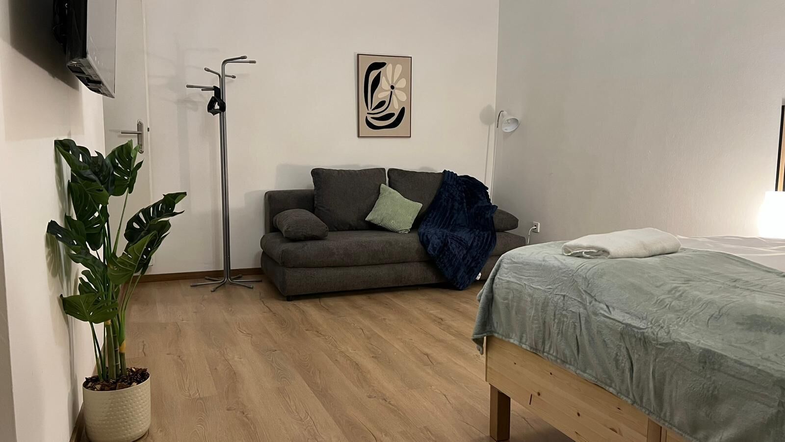 Una habitación con un sofá gris, una cama con una manta verde, una planta en maceta y una lámpara de pie.