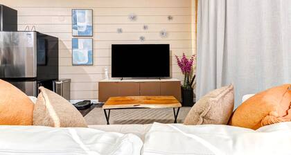 Houston Private Retreat, 17 min Downtown