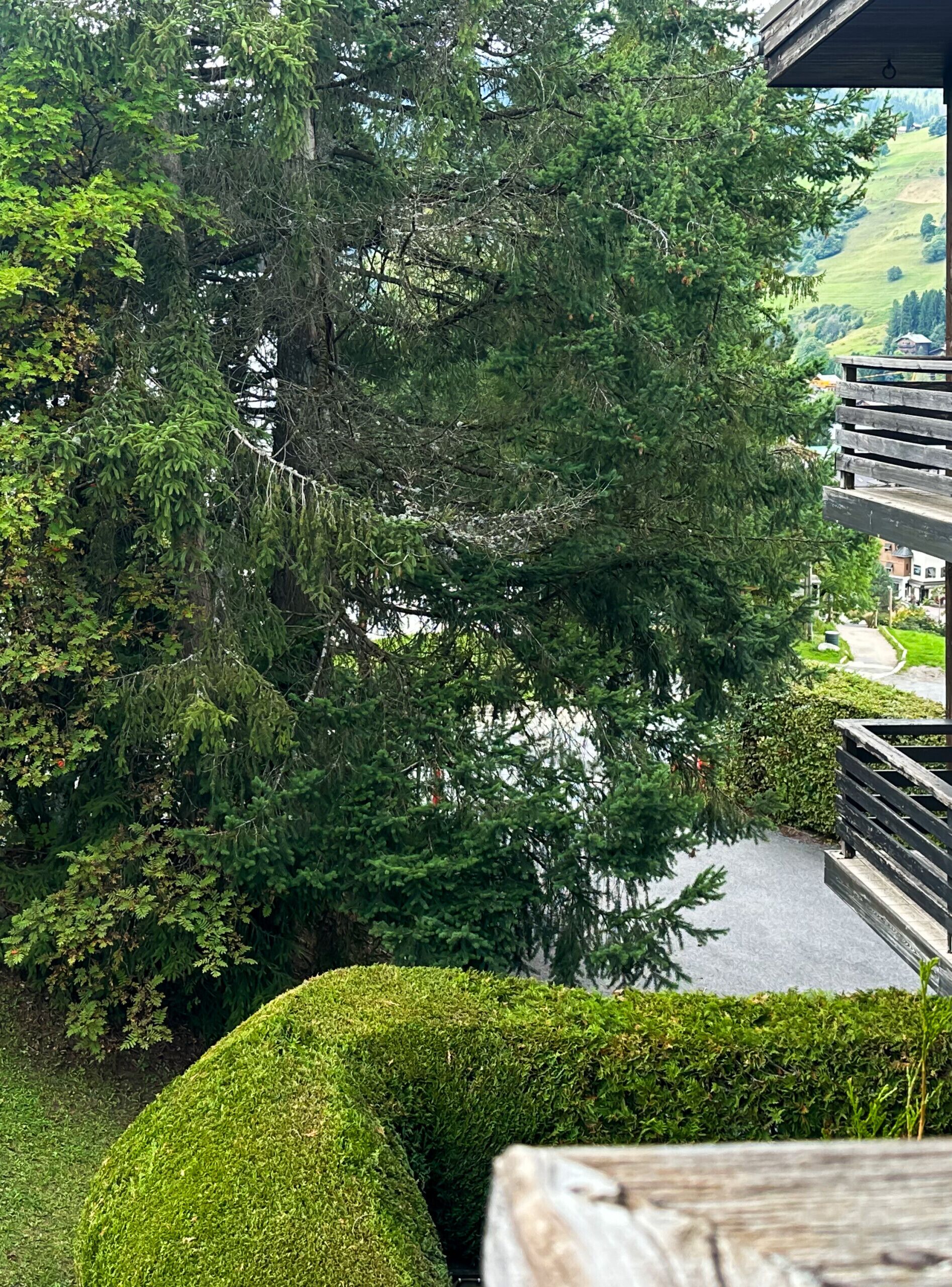 Áreas de la propiedad