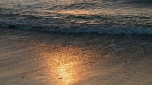 Ein Strand bei Sonnenuntergang, sanfte Wellen umspülen das Ufer.