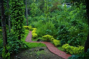 Hiking - DNC Luxe Resorts & Spa (Yercaud)