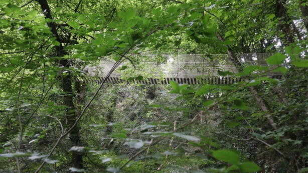 Un bosque frondoso con un puente de metal.