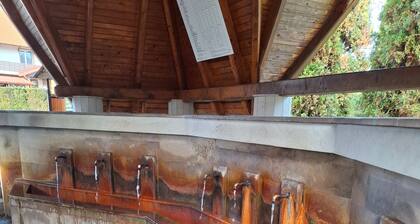 B&B Granada in the fabulous Romanian mountains