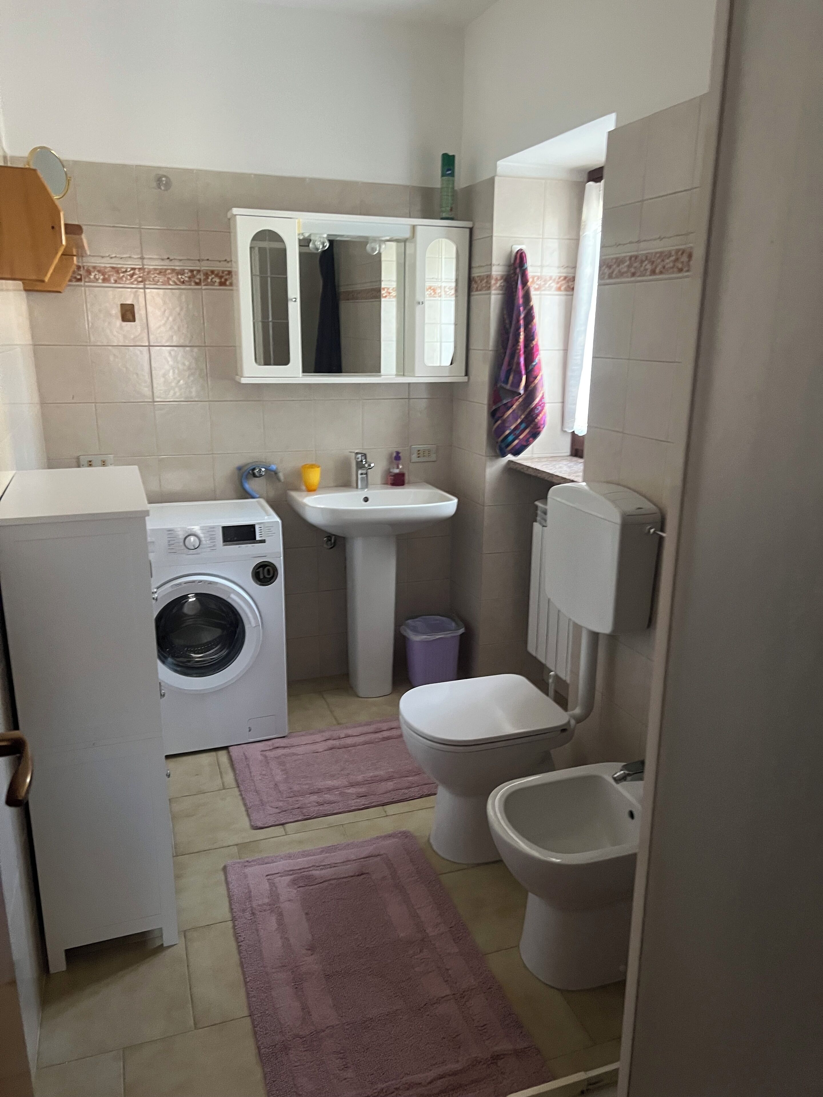 Haartrockner, Bidet, Handtücher, Seife