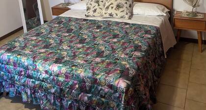 The House of Anastasia