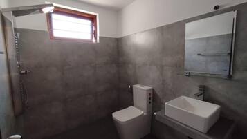 A bathroom with a toilet, a sink, and a shower.