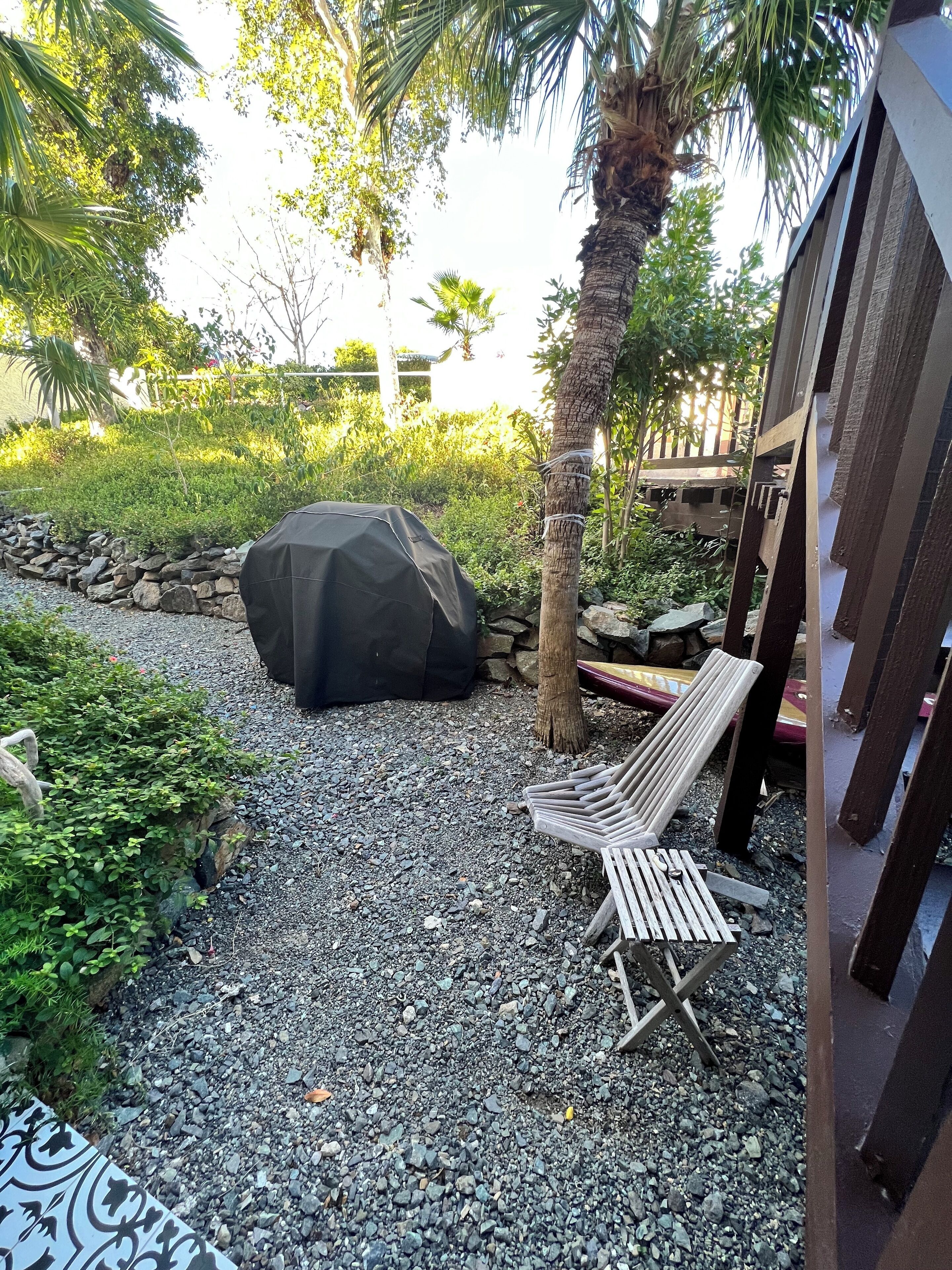 Un espace patio avec une table couverte, un banc en bois et un palmier.