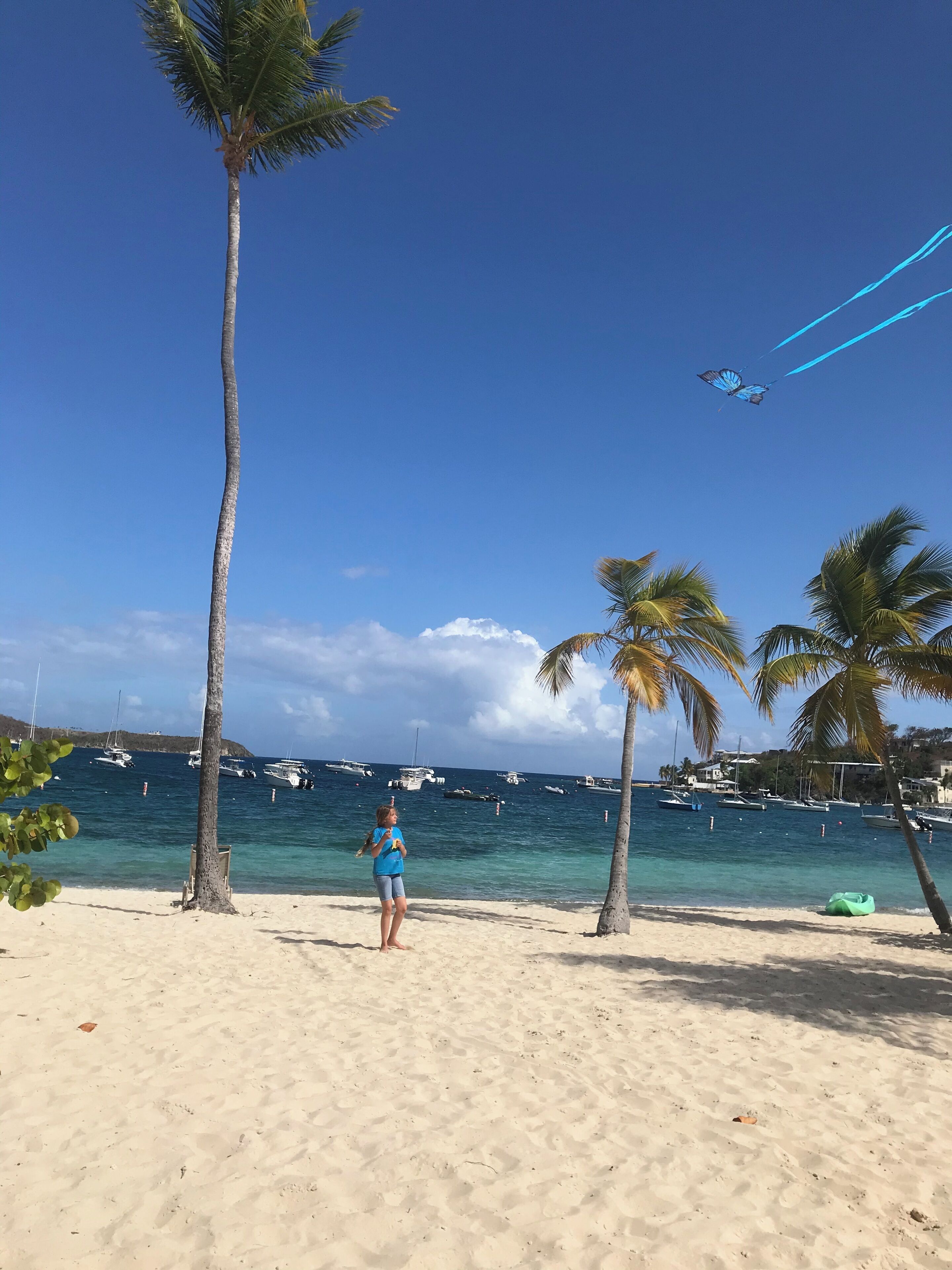 Une plage bordée de palmiers, un ciel bleu azur et des bateaux sur l’eau.