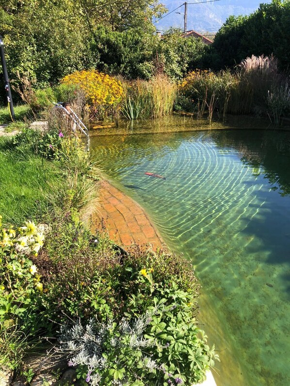 Property grounds - Detached cottage with natural swimming pool (L'Albenc)