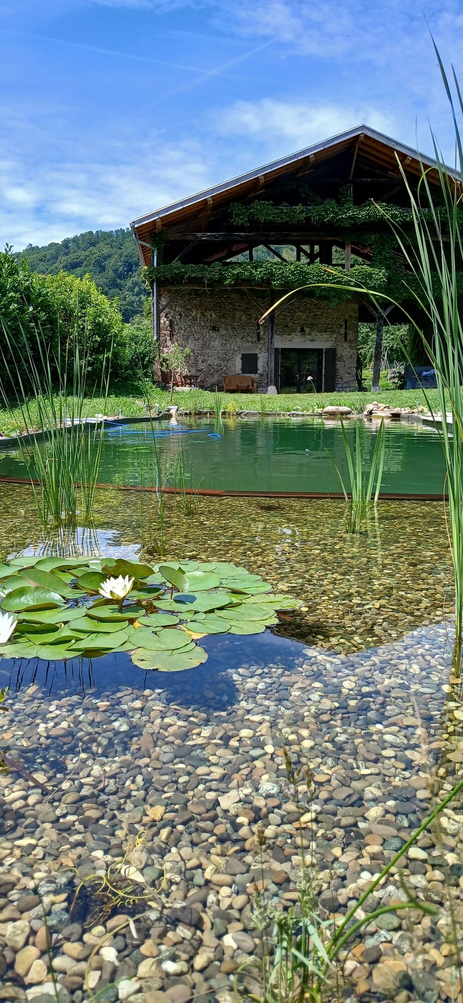 Image de profil de l’hôte