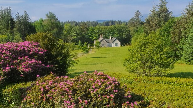 Una casa circondata da vegetazione rigogliosa e cespugli fioriti.