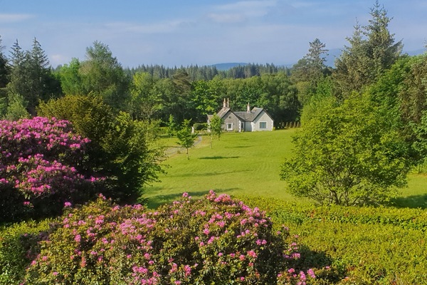 Beautiful views from Gate Lodge in Summer