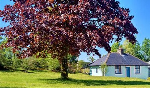 Exterior - Courtyard Cottage - sleeps 2 guests  in 1 bedroom (Castle Douglas)
