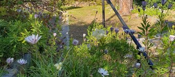 Family home in a small seaside resort close to the sea. Pets allowed